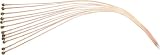 Rogue B25 Bulk 12 Pack 025 Phosphor Bronze Acoustic Strings Rogue B25 Bulk 12 Pack 025 Phosphor Bronze Acoustic Strings