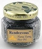 Aloha Bay Palm Wax Candles - Rendezvous (Black) - Scented Trip Light Jars 1.2 oz 12 Hours