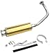 Honda Ruckus Titanium-look Stainless Exhaust - Gold