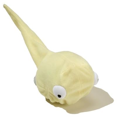 Frog Life Cycle Reversible