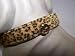 Kitchen & Housewares : Jungle Queen Dog Collar 18in Leopard 141