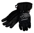 Spyder Mens Over Web Gore-Tex Glove