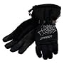 Spyder Men's Over Web Gore-Tex Glove