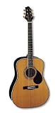 Samick Asdm Acoustic Guitar