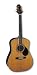 Samick Asdm Acoustic Guitar