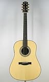 Fender Acoustics GDS-500 NAT
