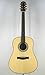 Fender Acoustics GDS-500 NAT