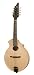 BreedloveQuartz KO Mandolin, Made in U.S.A.