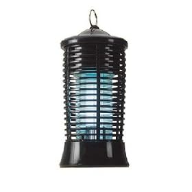 Like a bug to the zapping light you go - like a moth to the flame, because a bug has to actually hit the light and a moth gets surprisingly burnt without touching it.