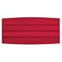 Red Satin Boys Cummerbund