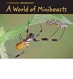 A world of minibeasts
