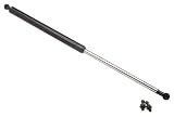 OES Genuine Hood Strut
