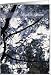 Anniversary, Spouse, Black and White Angels Weather Vane, Blue Leaves Card