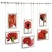 Umbra Trapeze 6-Photo Hanging Frame, Mixed Sizes, Nickel