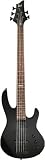 LTD B55 5 String Bass