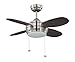 Litex MLV36BNK4L Maksim Collection 36-Inch Ceiling Fan with Five Wench Wood Blades and Single LED Light Kit with Opal Frosted Glass