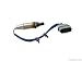 BOSCH 15953 Premium Original Equipment Oxygen Sensor - Compatible with Select Nissan Sentra