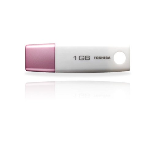 Toshiba USB 2.0 Flash Drive Flash Memory USB 2.0 1024 MB