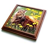Cats - Cat In The Flower Field - Trivets
