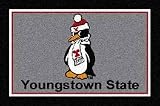 Youngstown State Penguins 33 &acute; x 45 &acute; Team Door Mat - B0001H0KT8