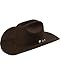 Stetson Men's 4X Corral Buffalo Felt Cowboy Hat