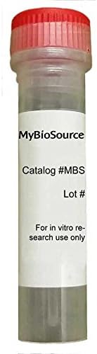 Histone H2A.X Antibody (Antibody)