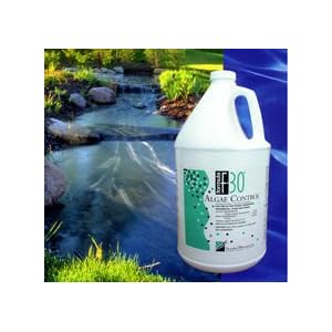Lakes Golf : F-30 Algae Control (1 Gal treats 326,000 Gal) (DO NOT USE WITH FISH!) by DWI by 