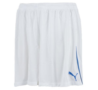 PUMA Herren Speed Shorts w. innerbrief, white-puma royal, L, 700760 13 Preisvergleich
