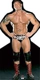 Batista - WWE Cardboard Standup