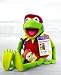 Kermit the Frog, Frog-tographer