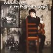 Eileen Ivers & Immigrant Soul
