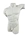 US 8.5 Inch All White Porcelain Armless Nude Male Torso Figurine, Matt