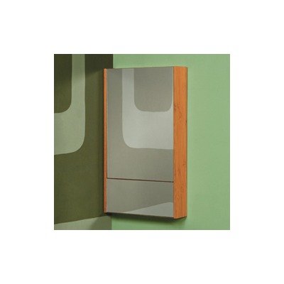 Eastridge Medicine Cabinet in Bamboo