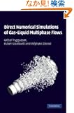 Direct Numerical Simulations of GasLiquid Multiphase Flows (Cambridge Monographs on Applied & Computational Mathematics)