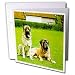 Dogs Mastiff - Mastiff - Greeting Cards-12 Greeting Cards with envelopes