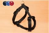 Eigenschaften Trixie  / Classic H-Geschirr (L-XL), 75-100 cm / 25 mm,schw.