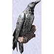 The Raven Wall Sculpture mystical garden Home Statue