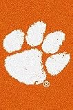 Clemson Tigers Vertical 2' 8x 3' 10 Team Spirit Area Rug