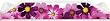 Flowers Purple - Beach Pole Caddy