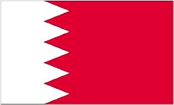 Annin Nylon Bahrain Flag, 3-Foot by 5-Foot