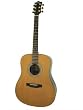 Jinyin Model P328 Acoustic Dreadnought Guitar