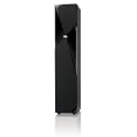 Floorstanding Loudspeaker