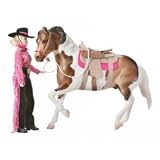 Let's Go Riding - Western Collectible Set 