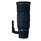 シグマ 120-300mm F2.8 APO EX DG HSM キヤノン用
