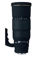 Sigma 120-300mm f/2.8 EX DG IF HSM APO Telephoto Zoom Lens for Canon SLR Cameras