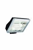 Massive 17187/30/10 Dakota Floodlight Incl. 2 X E27 32w