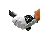 �u���a�X�g���c�A�[�X�e�[�W�O���[�u�g�[�i�����g�v���g�p���f��GLTS66�u����p�v (���A25cm)