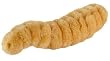 Giant Microbes - Maggot (Lucilia sericata) Educational Plush Toy