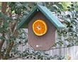 Fruit Bird Feeder