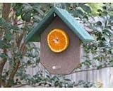 Fruit Bird Feeder